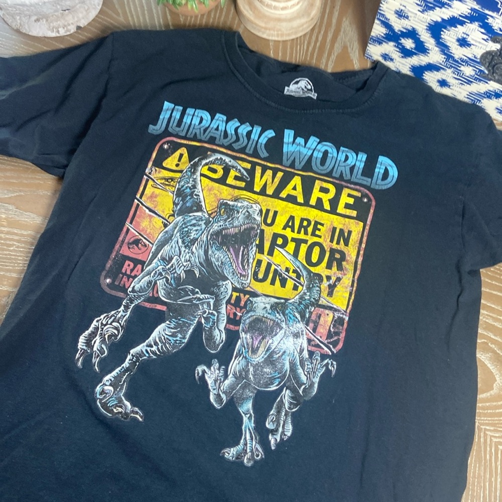 Big  Boys Jurassic Park Dinosaur Crew Neck Tee Shirt